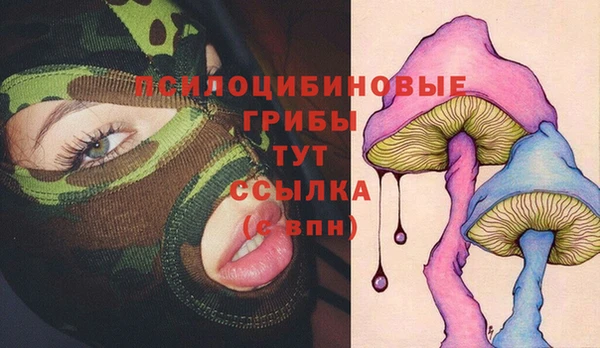 сатива Алексеевка