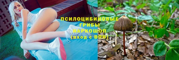 крисы Армянск