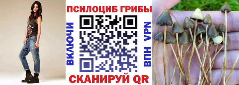 Купить где  Боровичи  Галлюциногенные грибы прущие грибы 