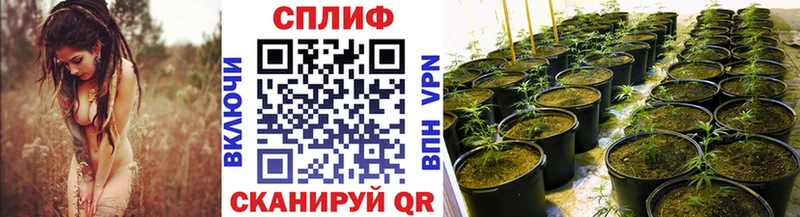 Бошки марихуана ГИДРОПОН  Купить  Боровичи 